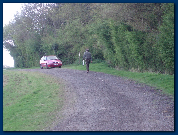 600x449 pixels (161K)